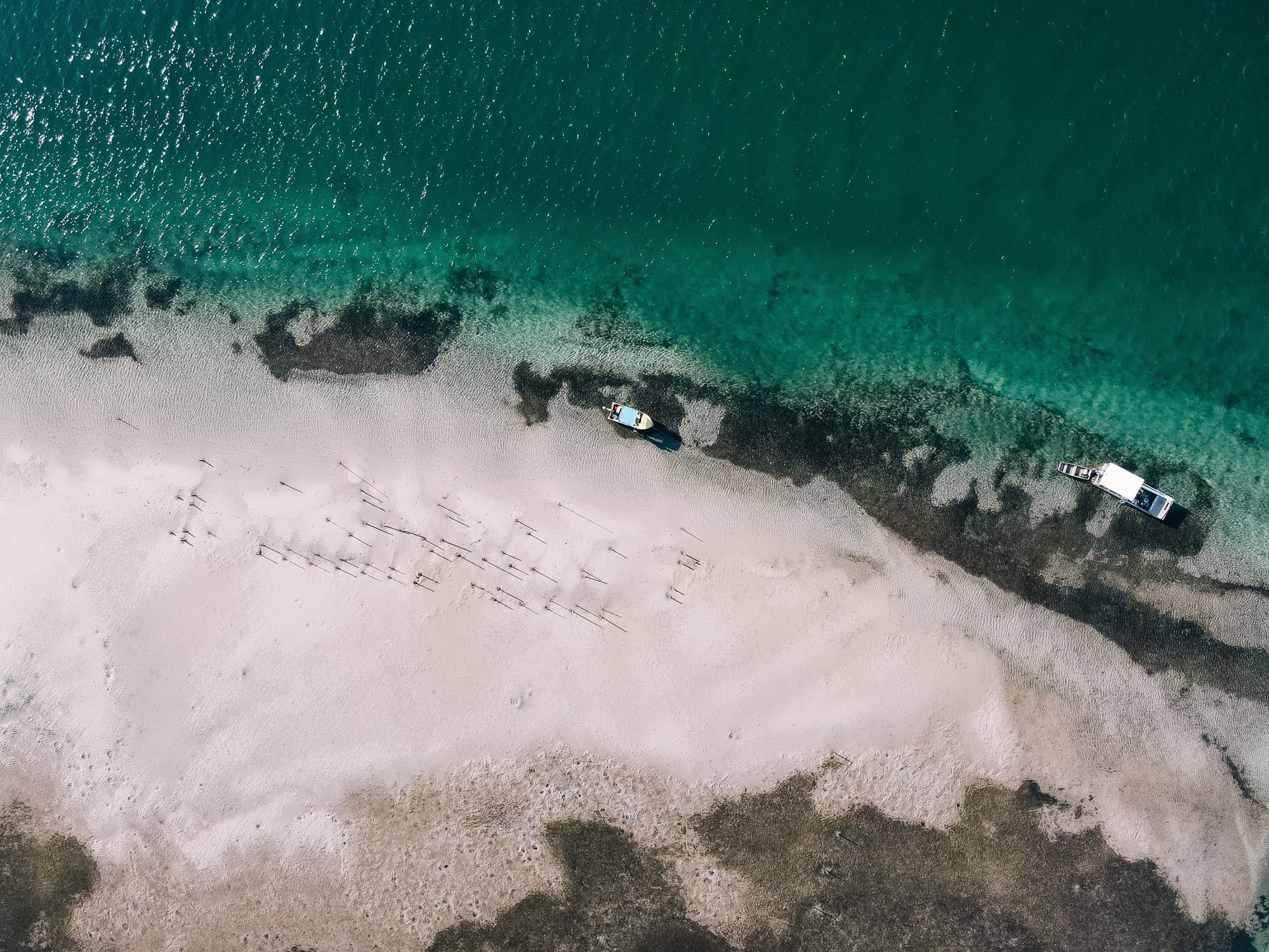 Oyster leases at low tide, Moreton Bay