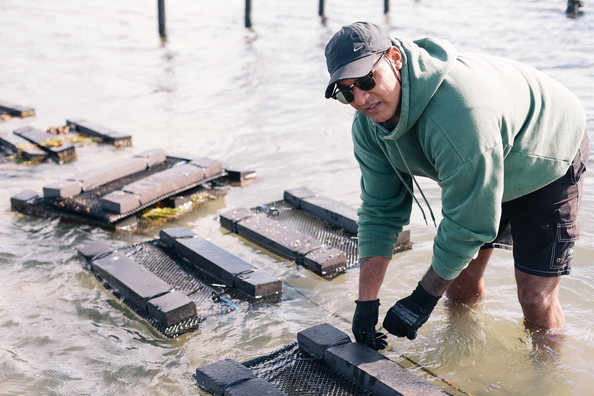 Working the oyster baskets